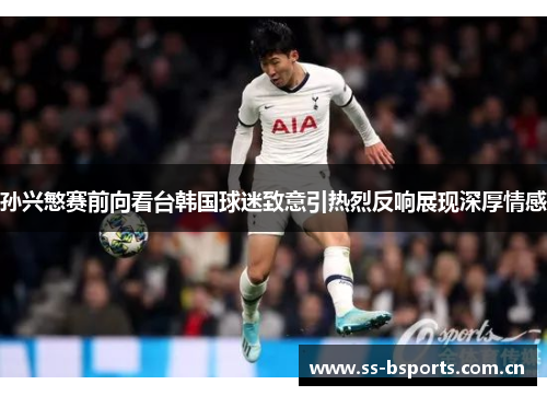 孙兴慜赛前向看台韩国球迷致意引热烈反响展现深厚情感